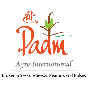 firm padm international