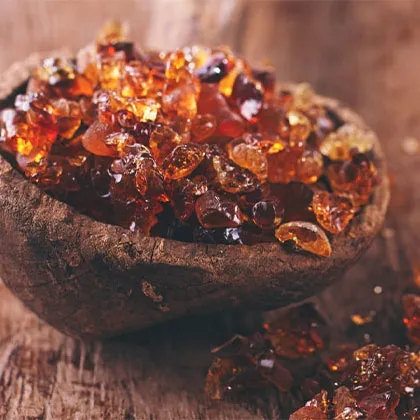 Gum Arabic Broker & Trader in India