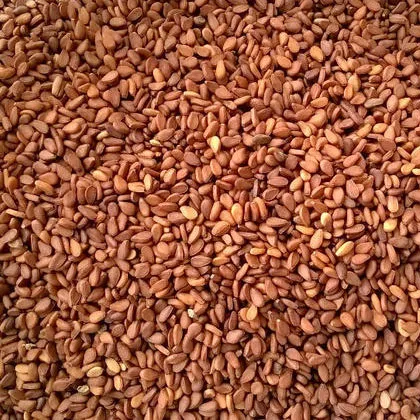 Red Sudan Sesame Seeds Broker & Trader From India
