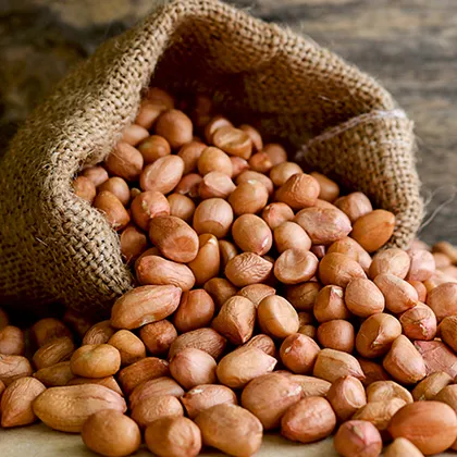 Raw Peanuts Broker & Trader in India