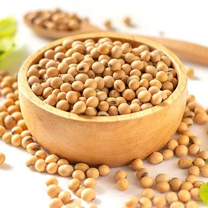 Soya Bean Broker & Trader From India